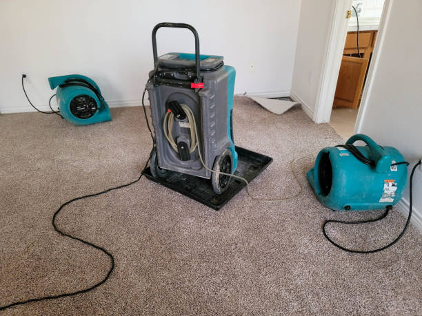 Best Flood damage cleanup  in Toulon, IL